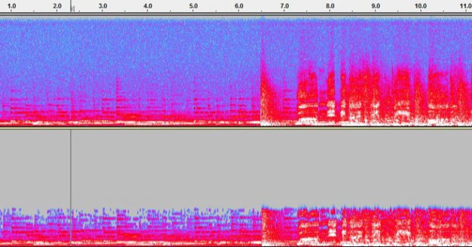 Czy warto kupować WAV zamiast MP3?