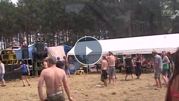 O nielegalnym festiwalu hardcore w Panoramie TVP