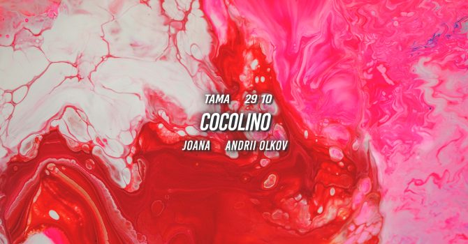 Cocolino | Tama