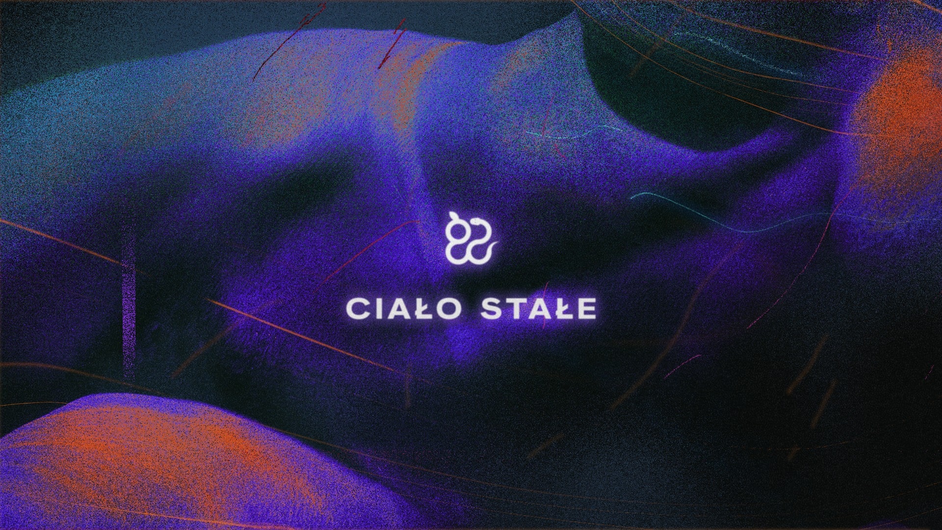 Ciało stałe: Aksamit all night long