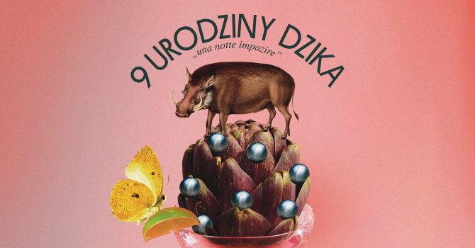 9 Urodziny DZiKa