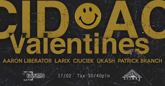 Te33no Acid Valentines