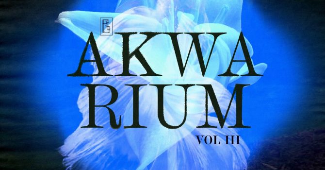 Akwarium / nurt 3