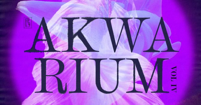 Akwarium / nurt 4