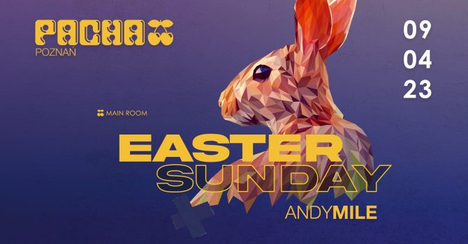 Easter Sunday | Andy Mile