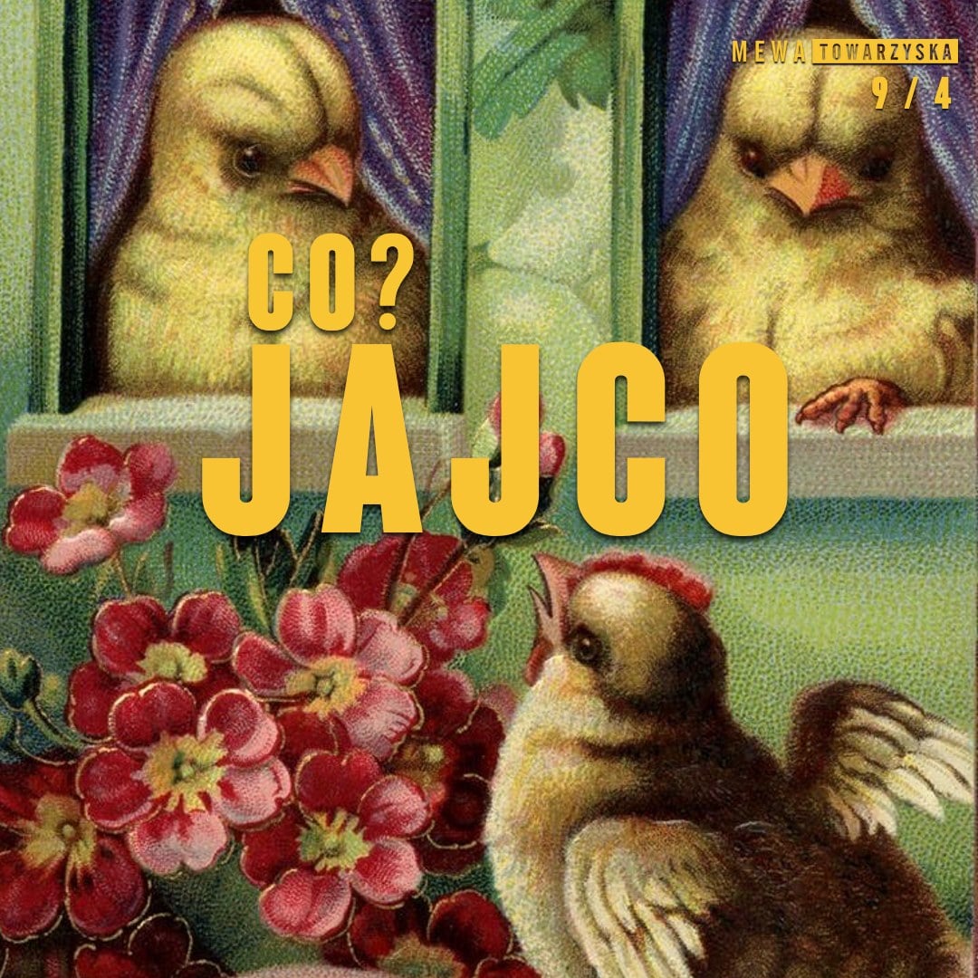 ᴄᴏ? Jajco I 09.04 I Mewka