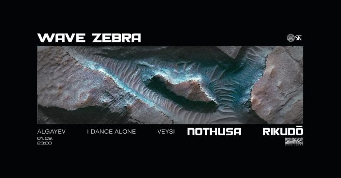 Wave Zebra: Velvet collective