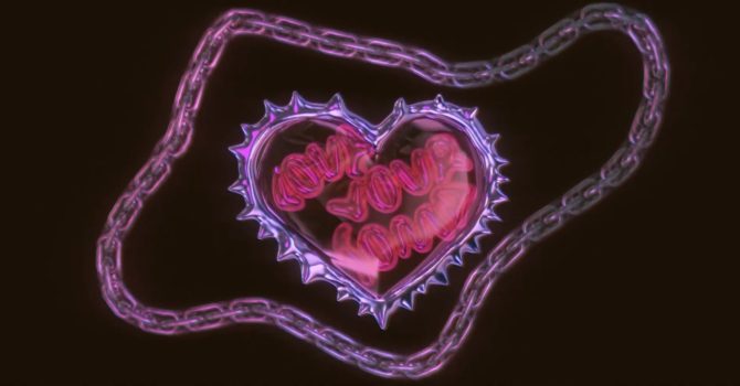 Love your Soma #4