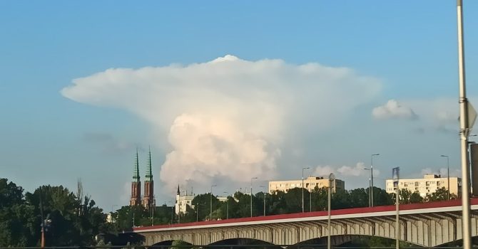Likwidacja Luzztro