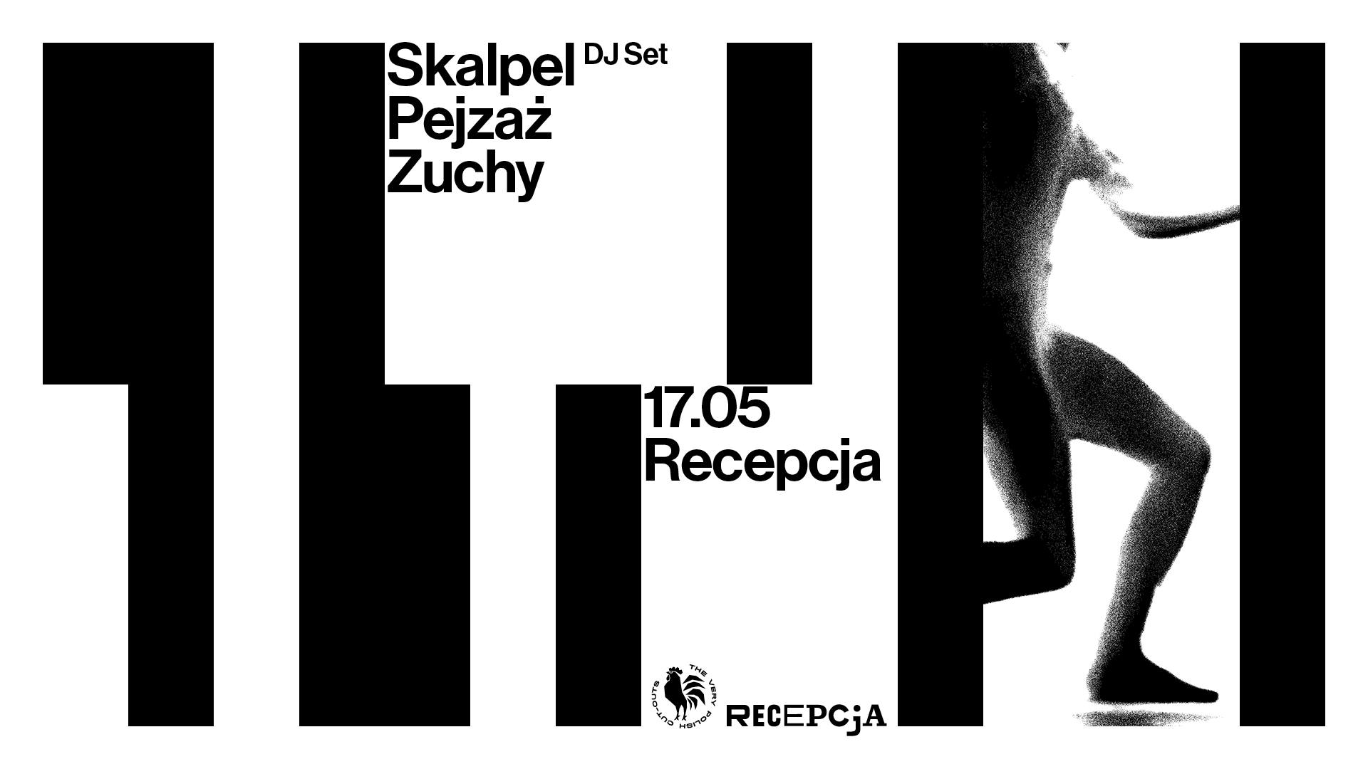 Skalpel x The Very Polish Cut Outs (Wrocław)